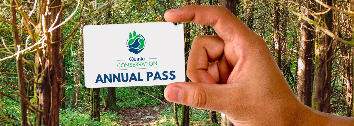 Hand holding annual pass in front of trail